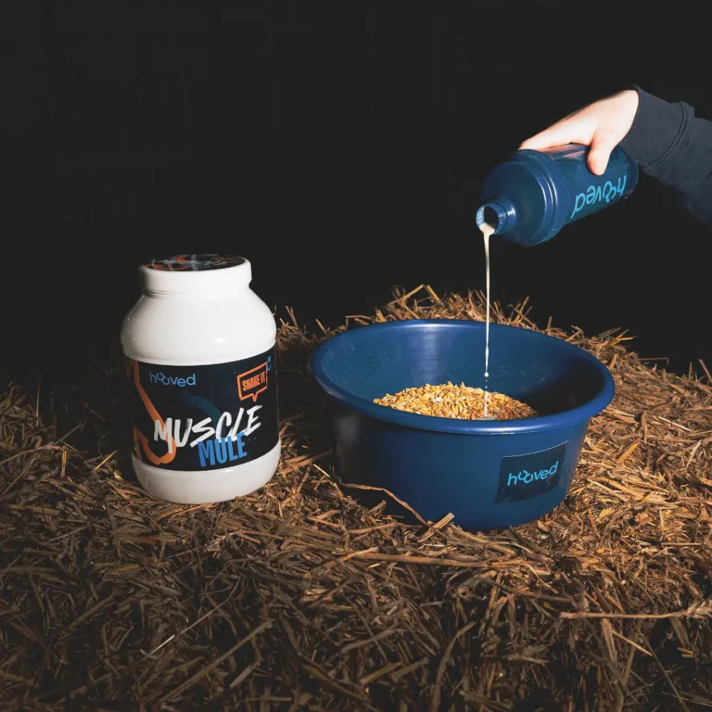 hooved Shake Mule Muscle