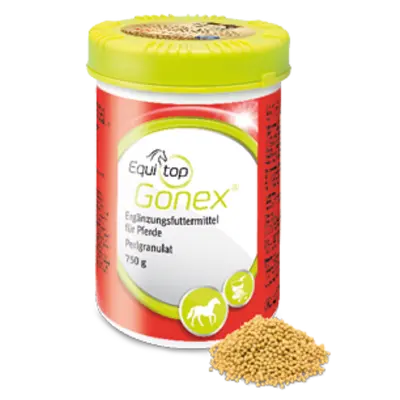 Equitop Gonex®