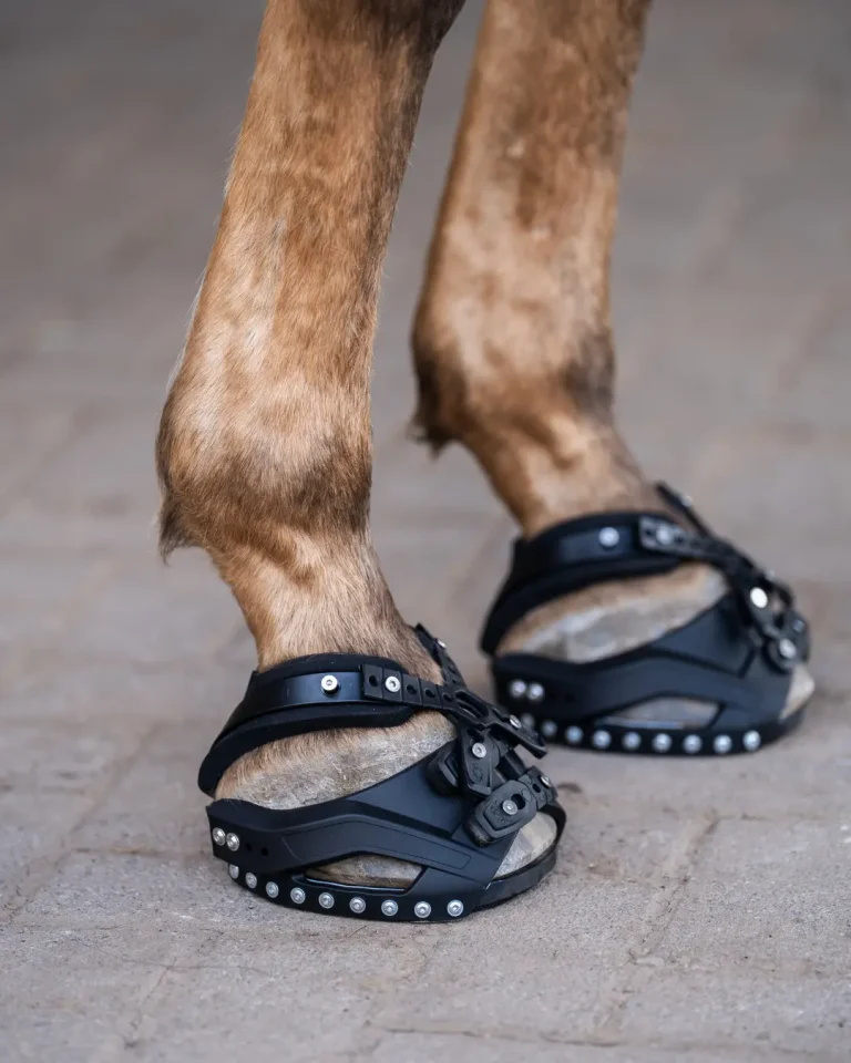 Nahaufnahme der Vorderbeine eines Pferdes mit schwarzen Goodsmith-Hufschuhen auf Pflasterstein.