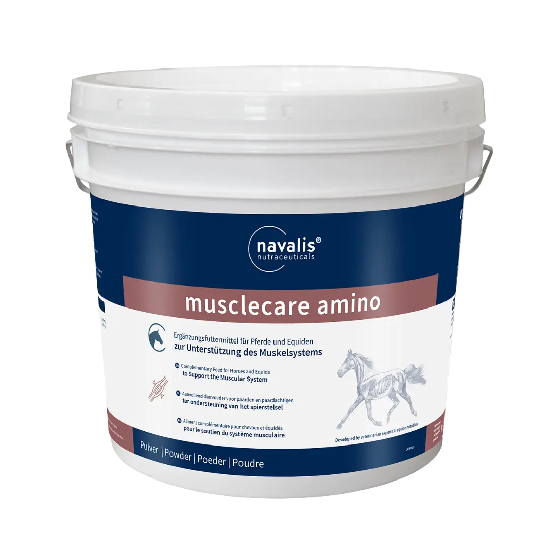 navalis musclecare amino horse