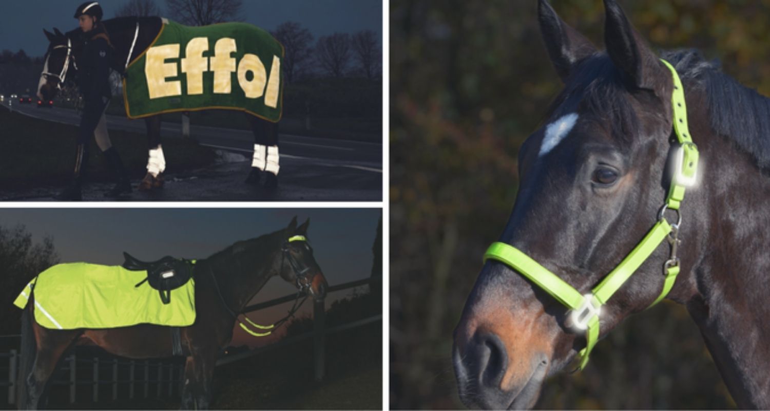 Reflexartikel für Pferd & Reiter: Sicher reiten im Dunkeln