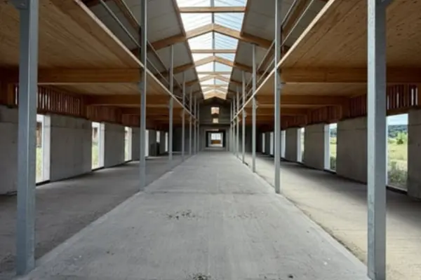 Symmetrische Innenaufnahme einer weitläufigen, leeren Stallhalle im Neubauzustand. Durch das Zentrum verläuft eine breite Stallgasse aus Beton, gefasst von schlanken Stahlstützen und seitlichen Abschnitten. Ein durchgehendes Glas-Lichtband im hölzernen Dachfirst sowie seitliche Fensteröffnungen sorgen für viel natürliches Tageslicht.