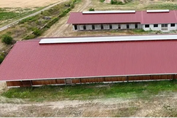 Vogelperspektive auf zwei langgestreckte Hallen auf einem ländlichen Grundstück. Die Gebäude besitzen charakteristische rote Dächer mit durchgehenden Lichtbändern am First und sind von Gras- sowie Sandflächen umgeben.