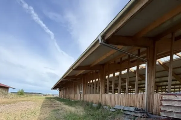 Blick von unten entlang der Längsseite eines modernen Stallgebäudes aus Holz. Die Fassade zeigt eine vertikale Holzverkleidung im unteren Bereich und eine offene Rahmenkonstruktion darüber. Ein weit überstehendes Dach mit Dachrinne ragt über den angrenzenden Wiesenstreifen unter einem sonnigen, leicht bewölkten Himmel.
