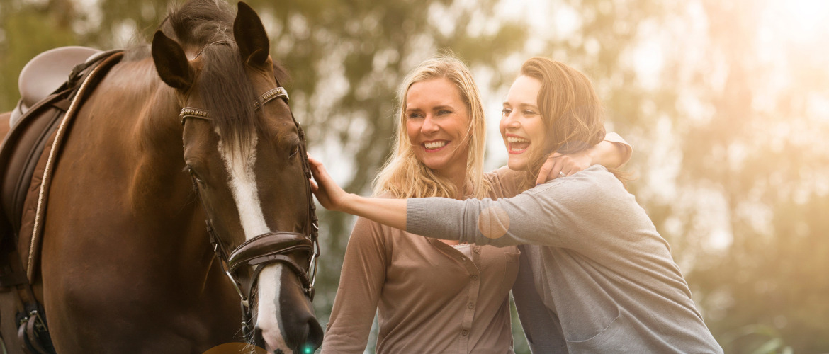 Reitbeteilungskodex – Do’s and Don’ts bei Reitbeteiligungen