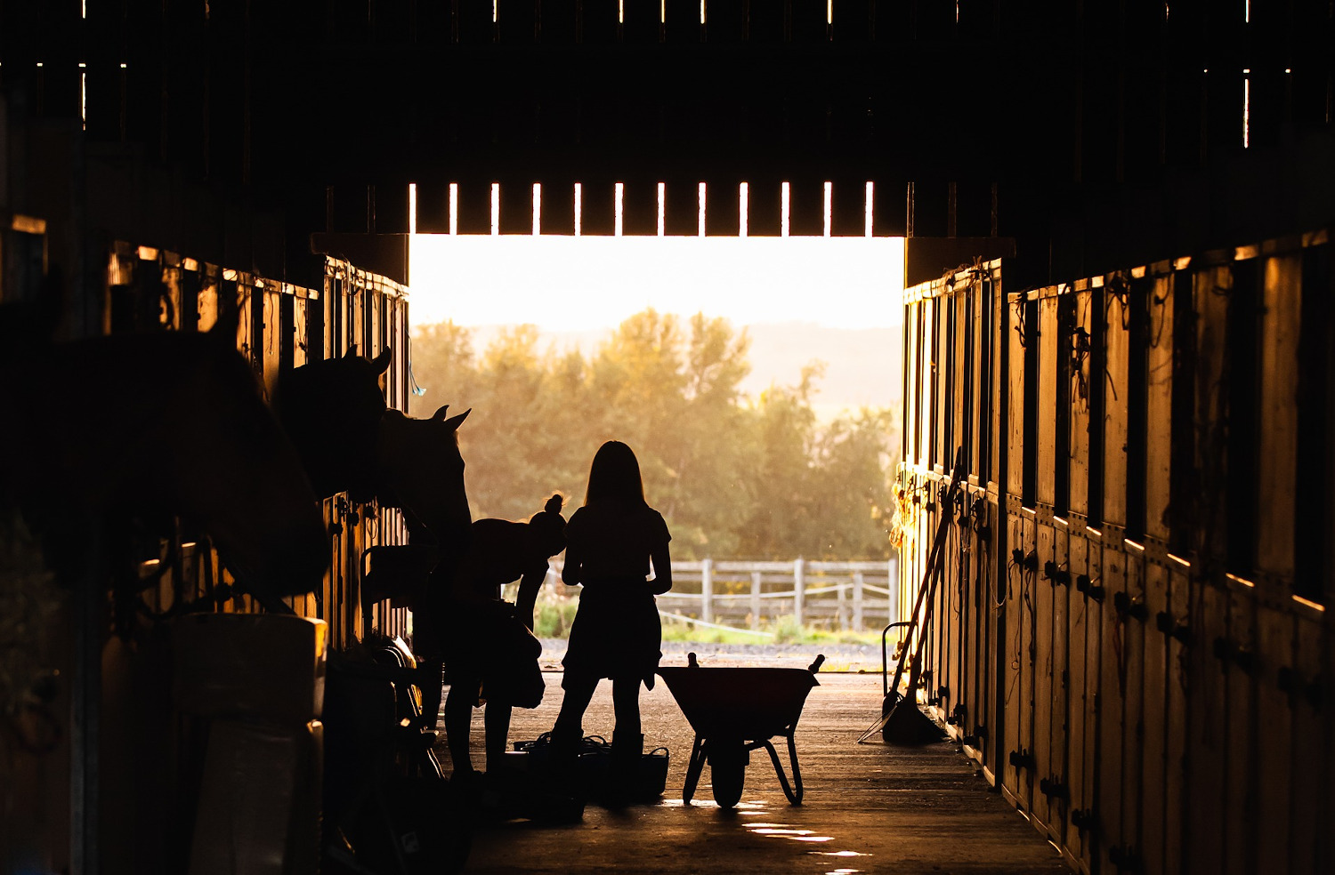 Reiten als Mannschaftssport