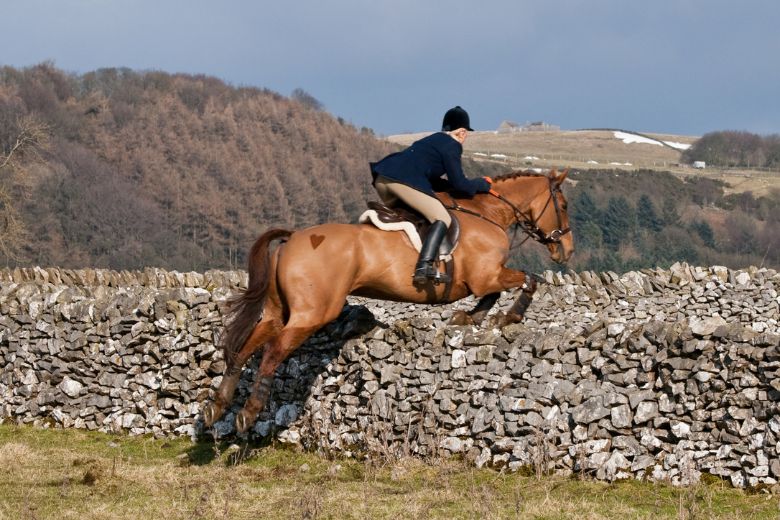 Reiten Jagen Fischen: Pferd springt bei einer Jagd über eine Mauer