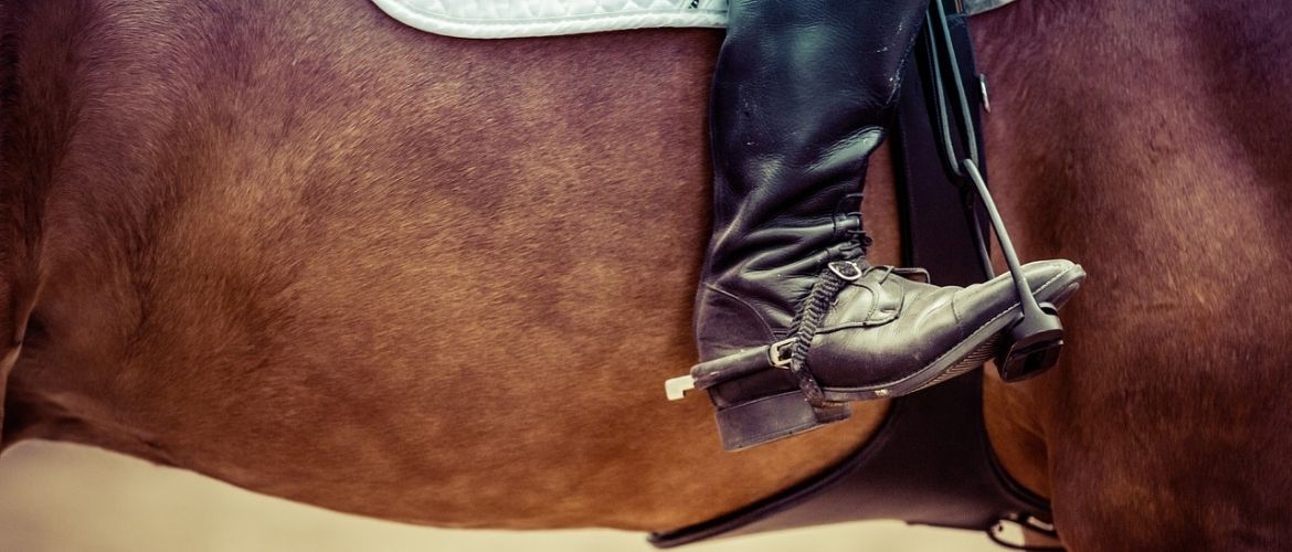 Reiten mit Sporen – ja oder nein?