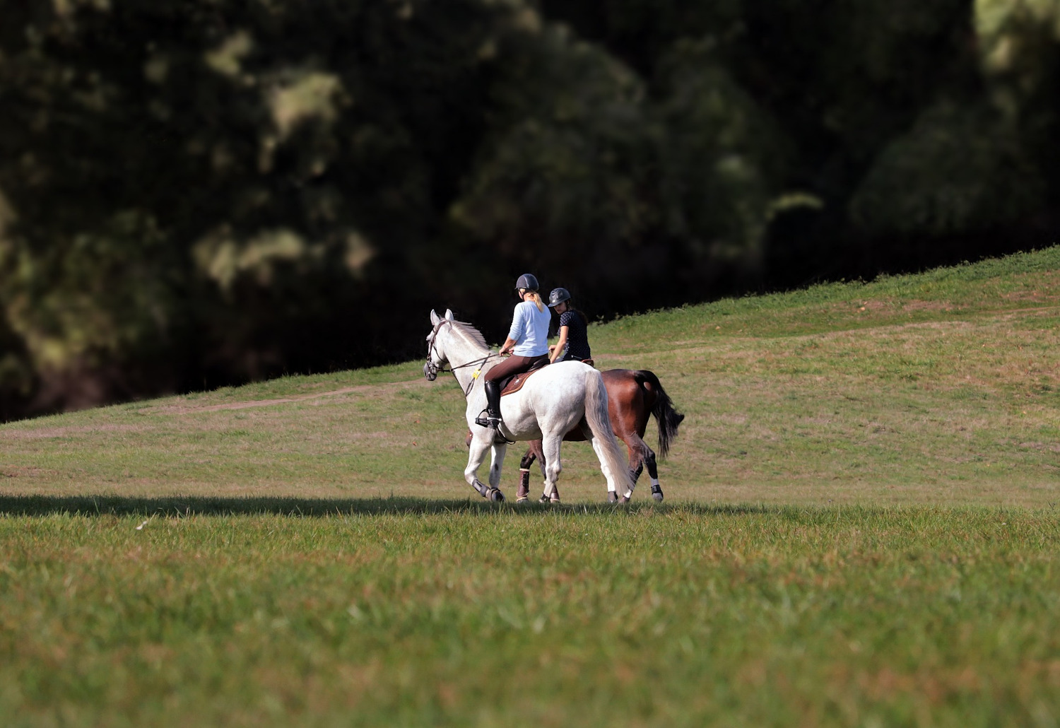 5 Gründe, warum Reiten der tollste Sport der Welt ist