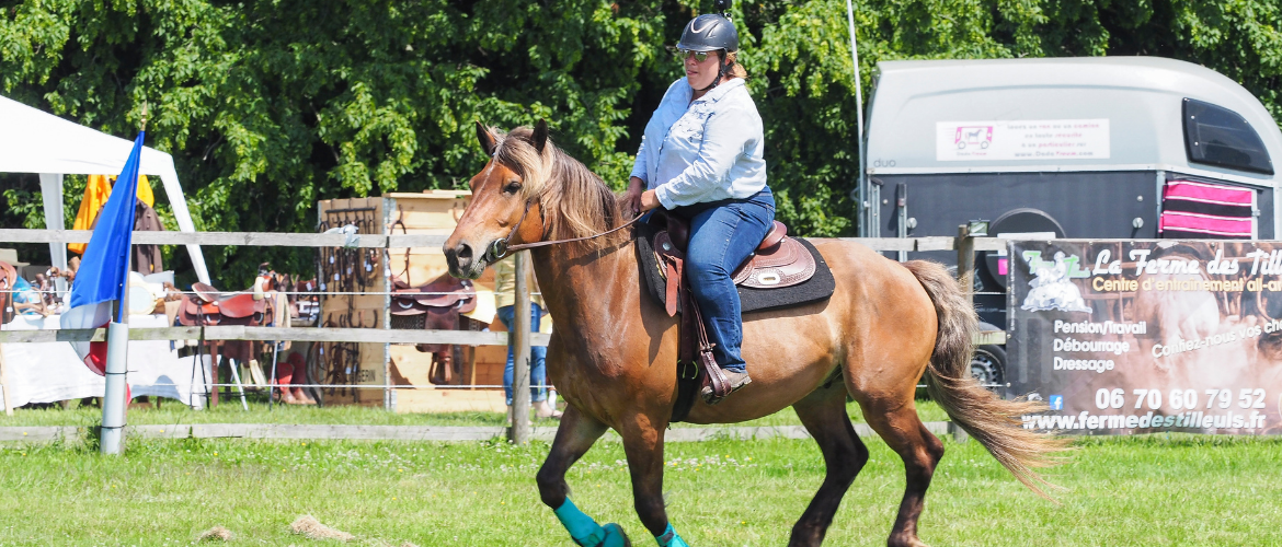 Reitergewicht – Wie viel Gewicht kann ein Pferd wirklich tragen?