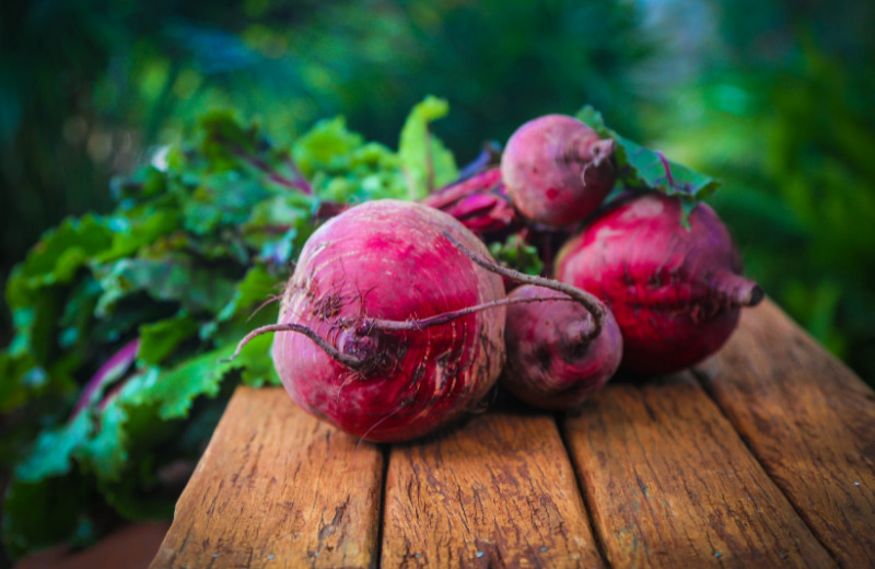 Rote Beete für Pferde – Diese Vorteile bietet die Fütterung