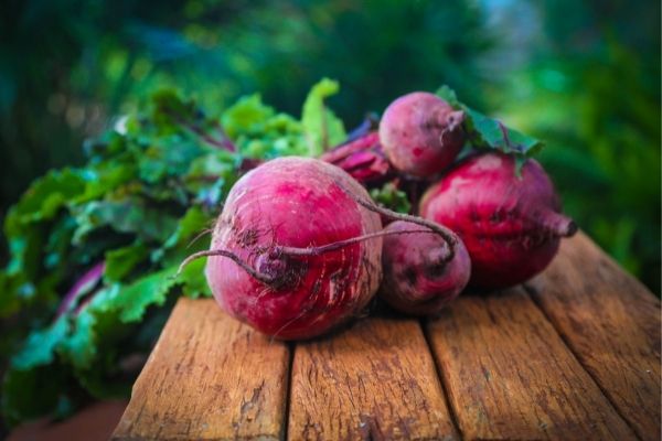 Obst und Gemüse für Pferde: Rote Beete für Pferde