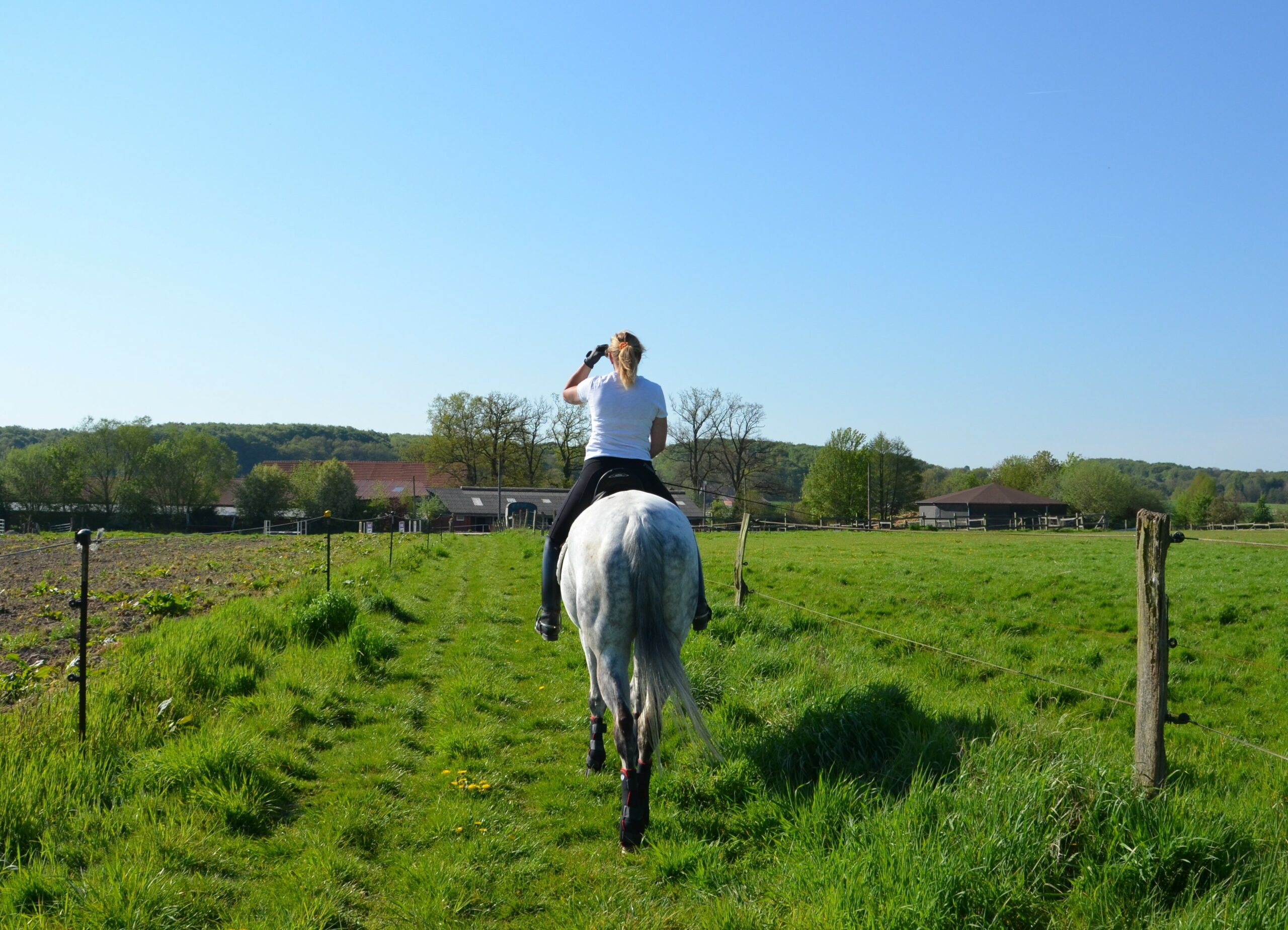 Die korrekte Handhaltung beim Reiten