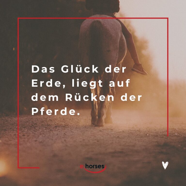 Die 100 schönsten Pferdesprüche mit Bildern ehorses