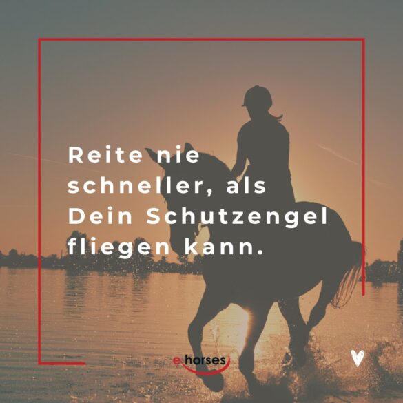 Die 100 Sch nsten Pferdespr che Mit Bildern Ehorses die-100-sch-nsten-pferdespr-che-mit-bildern-ehorses