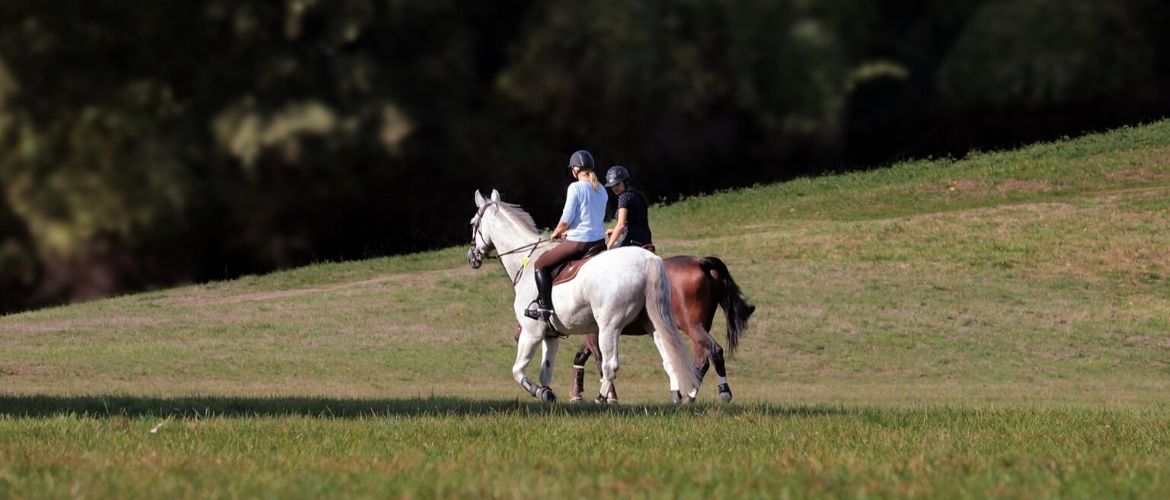 Ausreiten