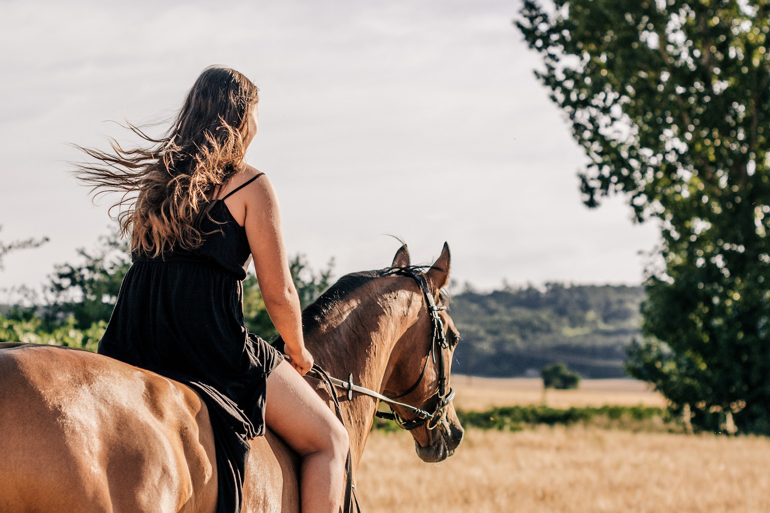 Mentales Training für Reiter – Interview mit Sportpsychologin Lena Koch