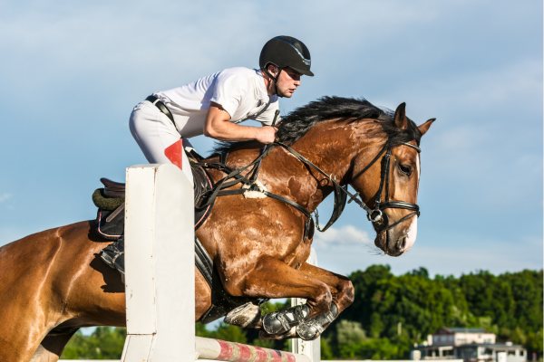 Springprüfung: Ein Reiter mit seinem Pferd beim Sprung