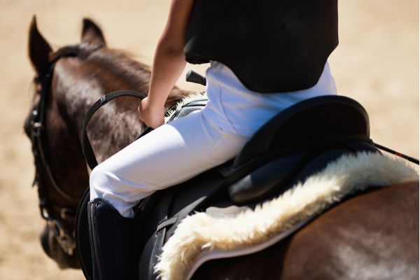 Springprüfung: Ein Reiter auf seinem Pferd