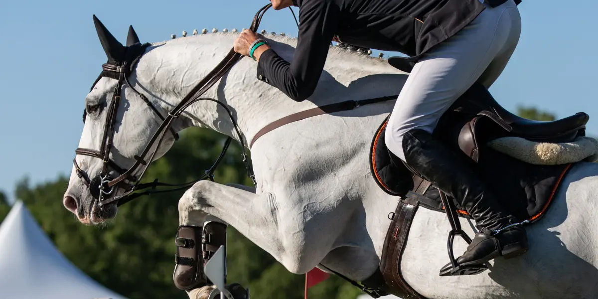 Nahaufnahme eines Schimmels im Sprung bei einem Springturnier. Das weiße Pferd hat die Vorderbeine angewinkelt, während der Reiter im schwarzen Turniersakko und weißer Reithose im leichten Sitz nach vorne gebeugt ist. Im Hintergrund sind ein blauer Himmel und grüne Bäume zu sehen.