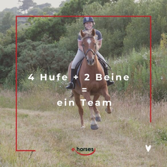 Die 100 schönsten Pferdesprüche mit Bildern ehorses