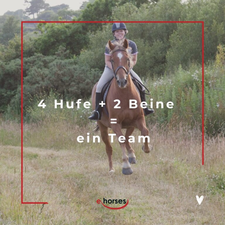 Die 100 schönsten Pferdesprüche mit Bildern ehorses