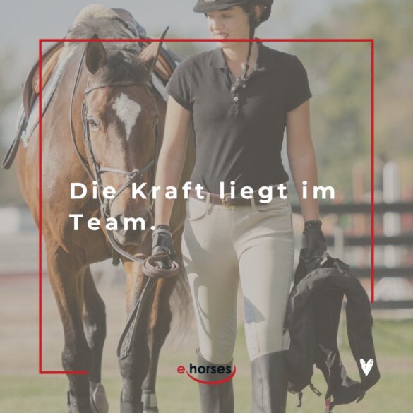 Die 100 schönsten Pferdesprüche mit Bildern ehorses