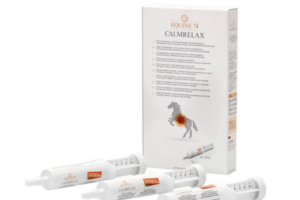 stress-bei-pferden-equine74-calmrelax