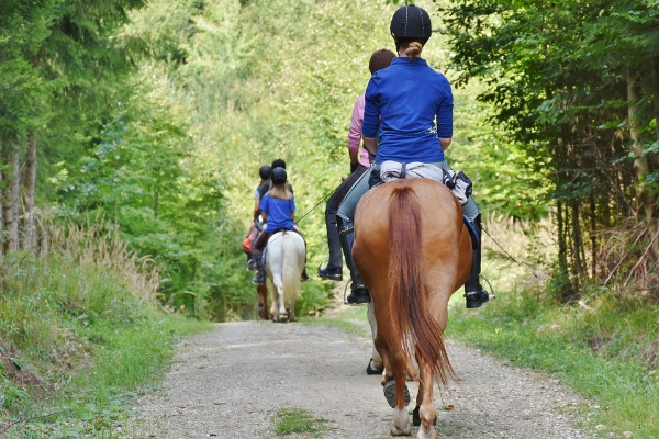 sturz-pferd-reiter-ausreiten-gruppe