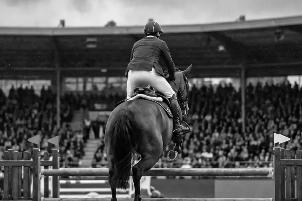 Ein Springreiter in Turnierkleidung von hinten gesehen, wie er mit seinem Pferd über ein hölzernes Hindernis in einer großen, gut besuchten Arena springt. Die Atmosphäre ist durch einen bewölkten, grauen Himmel und gedämpftes Licht eher melancholisch und bedeckt gehalten. Das Pferd befindet sich im Sprung über der Stange, während im Hintergrund die gefüllten Zuschauerränge einer Reitsportanlage unter einem weitläufigen Dach zu sehen sind.
