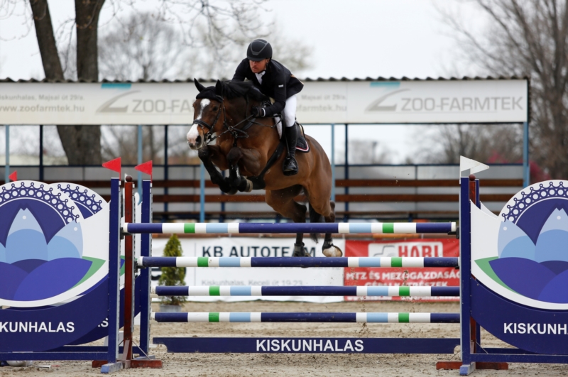 Ungarisches Sportpferd über dem Sprung