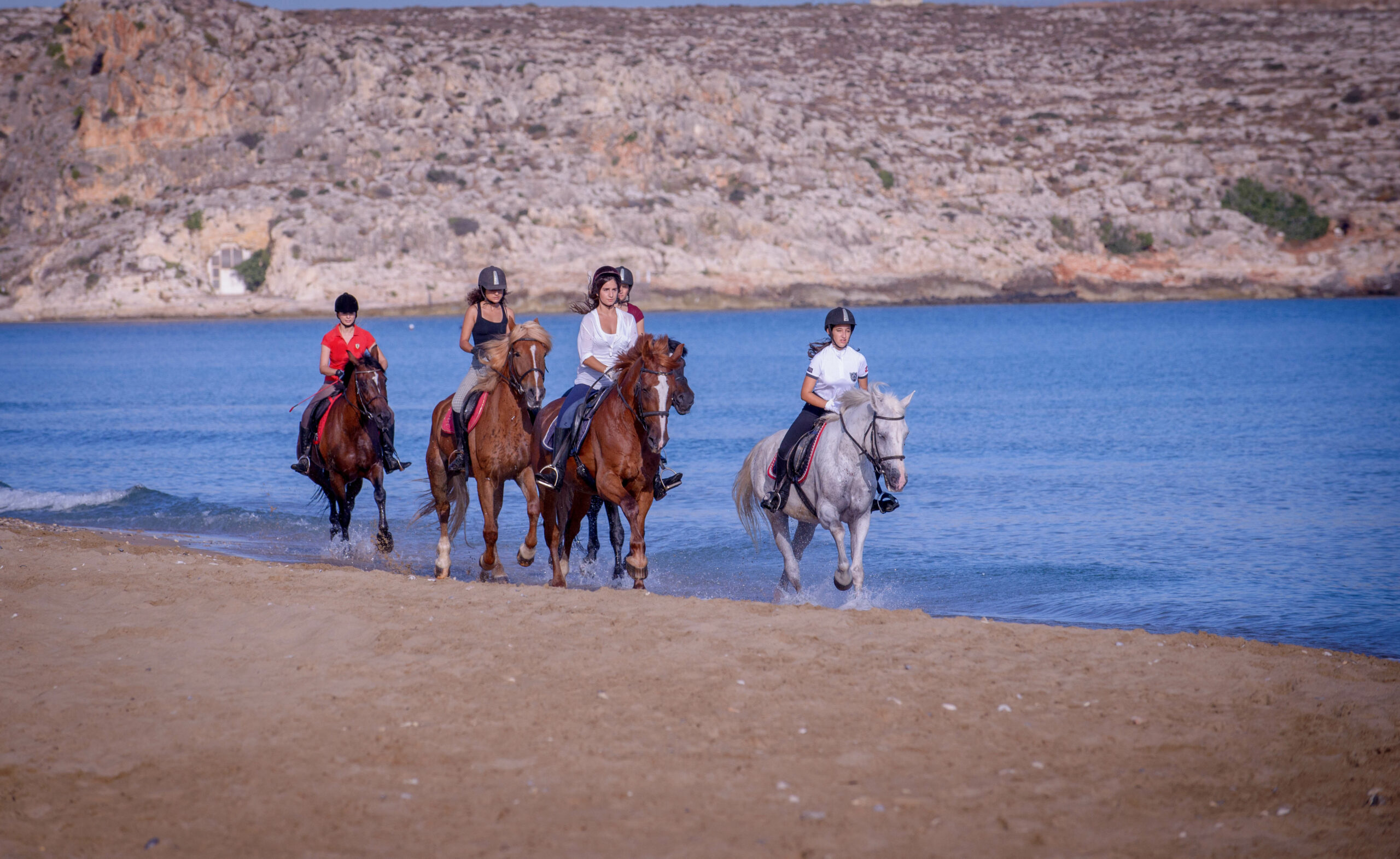 Urlaub mit Pferd: Planung, Packliste & Reise-Tipp