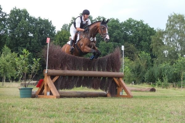 Vielseitigkeitsreiten Parcoursspringen