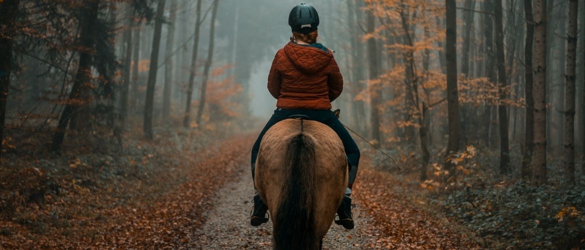 Fotoshooting mit Pferd im Wald