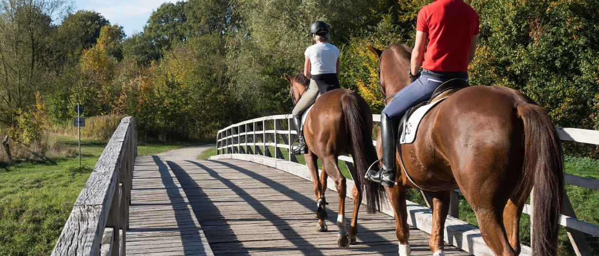 Wanderreiten mit dem eigenen Pferd: Touren, Tipps und vieles mehr