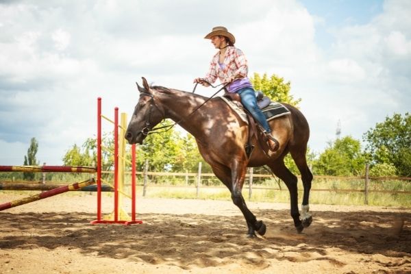 Westernreiten: Frau auf Pferd von der Seite