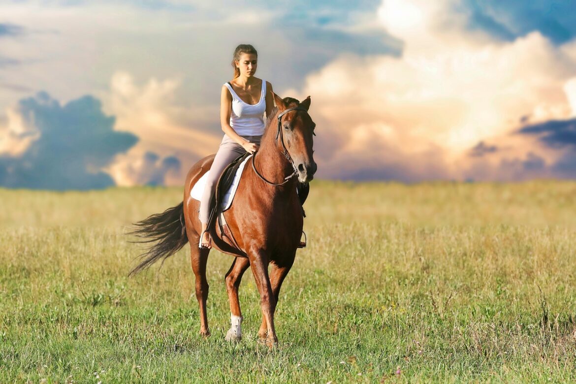 Urlaub mit dem Pferd: Planung, Packliste & Reise-Tipps