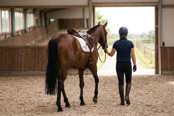 Rückansicht einer Reiterin, die ihr braunes Pferd am Zügel durch eine helle Reithalle führt. Sie gehen gemeinsam auf ein weit geöffnetes Tor zu, das den Blick ins Grüne freigibt. Das Pferd ist komplett für das Reiten mit Sattel und Trense ausgestattet; die Reiterin trägt dunkle Reitkleidung, eine Sicherheitsweste und einen Helm. Die Szene symbolisiert Entschlossenheit und den gemeinsamen Weg zurück in den Reitsport