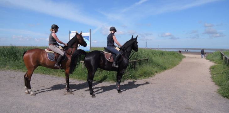 „Reiten verlernt man nicht!“ – Tipps für den Wiedereinstieg